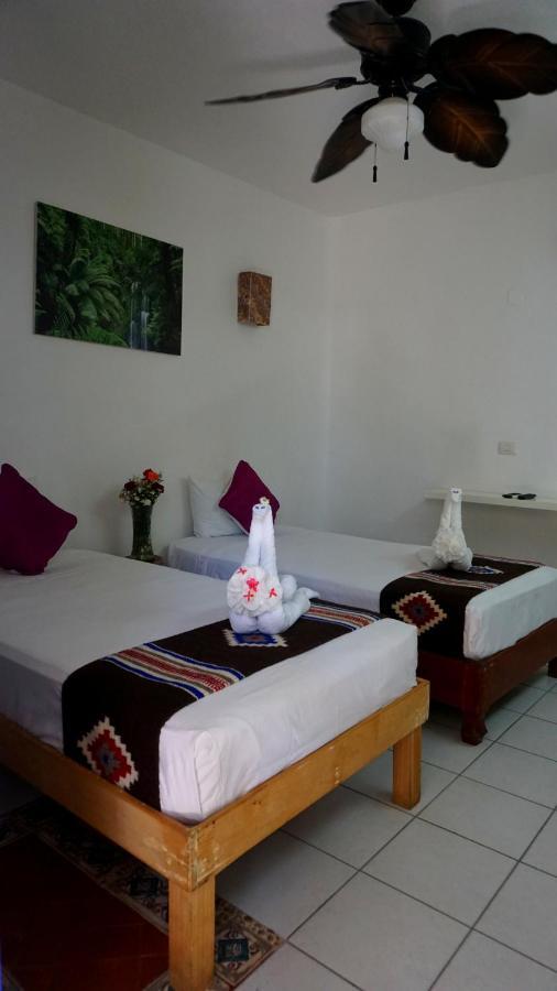 Selva Y Mar Apart Hotel Playa del Carmen Bagian luar foto
